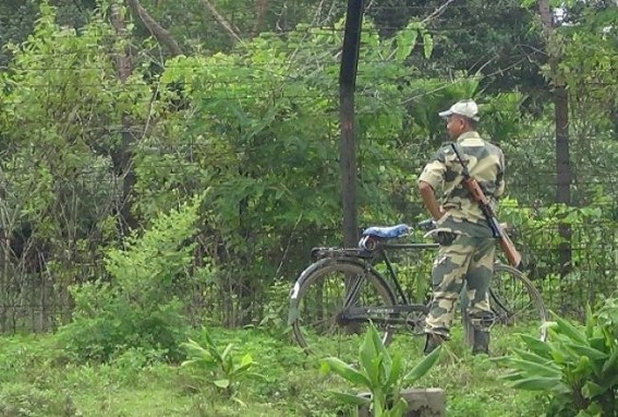 Bangladeshi smugglers cut wire-fencing; Infiltrate at Khowai Pohormura border area: security under question mark Bangladeshi smugglers cut wire-fencing; Infiltrate at Khowai Pohormura border area: security under question mark